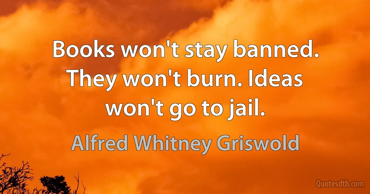 Books won't stay banned. They won't burn. Ideas won't go to jail. (Alfred Whitney Griswold)