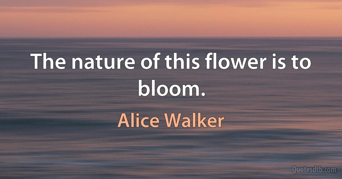 The nature of this flower is to bloom. (Alice Walker)