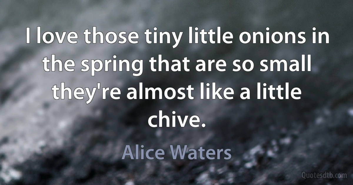 I love those tiny little onions in the spring that are so small they're almost like a little chive. (Alice Waters)