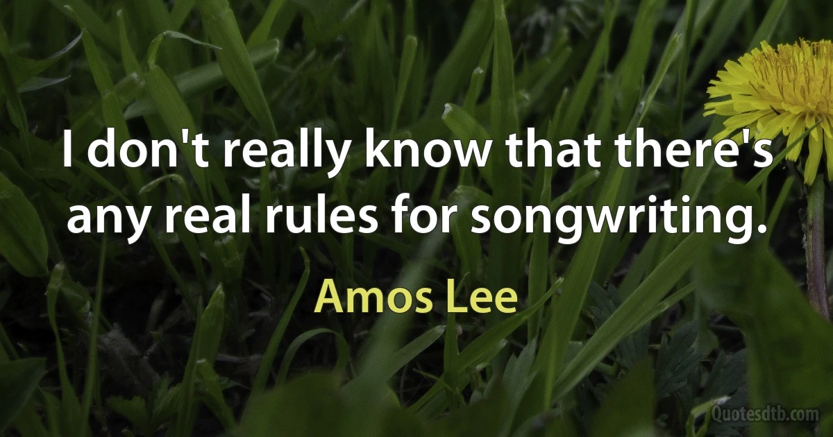 I don't really know that there's any real rules for songwriting. (Amos Lee)