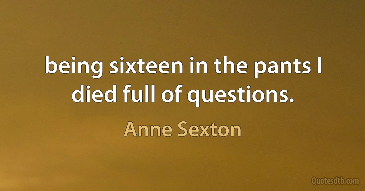 being sixteen in the pants I died full of questions. (Anne Sexton)