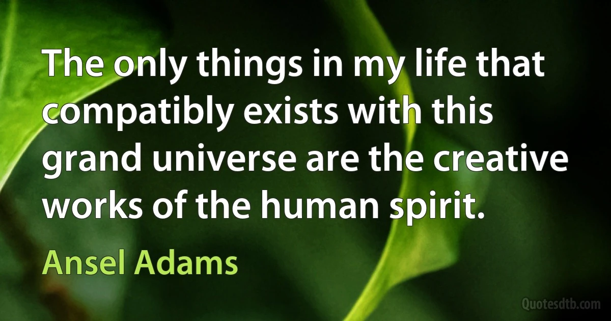 The only things in my life that compatibly exists with this grand universe are the creative works of the human spirit. (Ansel Adams)