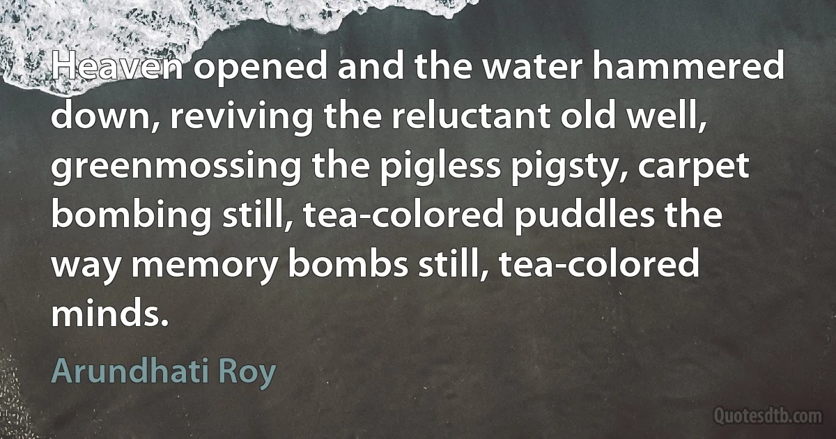 Heaven opened and the water hammered down, reviving the reluctant old well, greenmossing the pigless pigsty, carpet bombing still, tea-colored puddles the way memory bombs still, tea-colored minds. (Arundhati Roy)