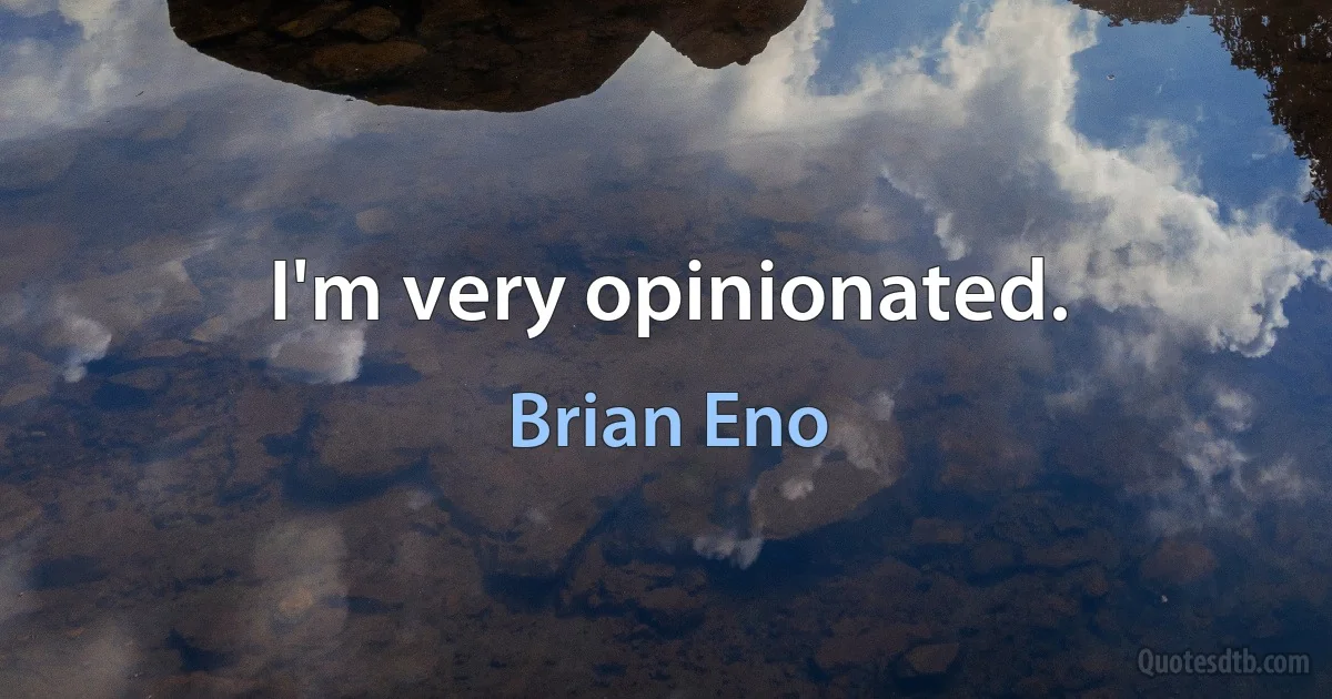 I'm very opinionated. (Brian Eno)