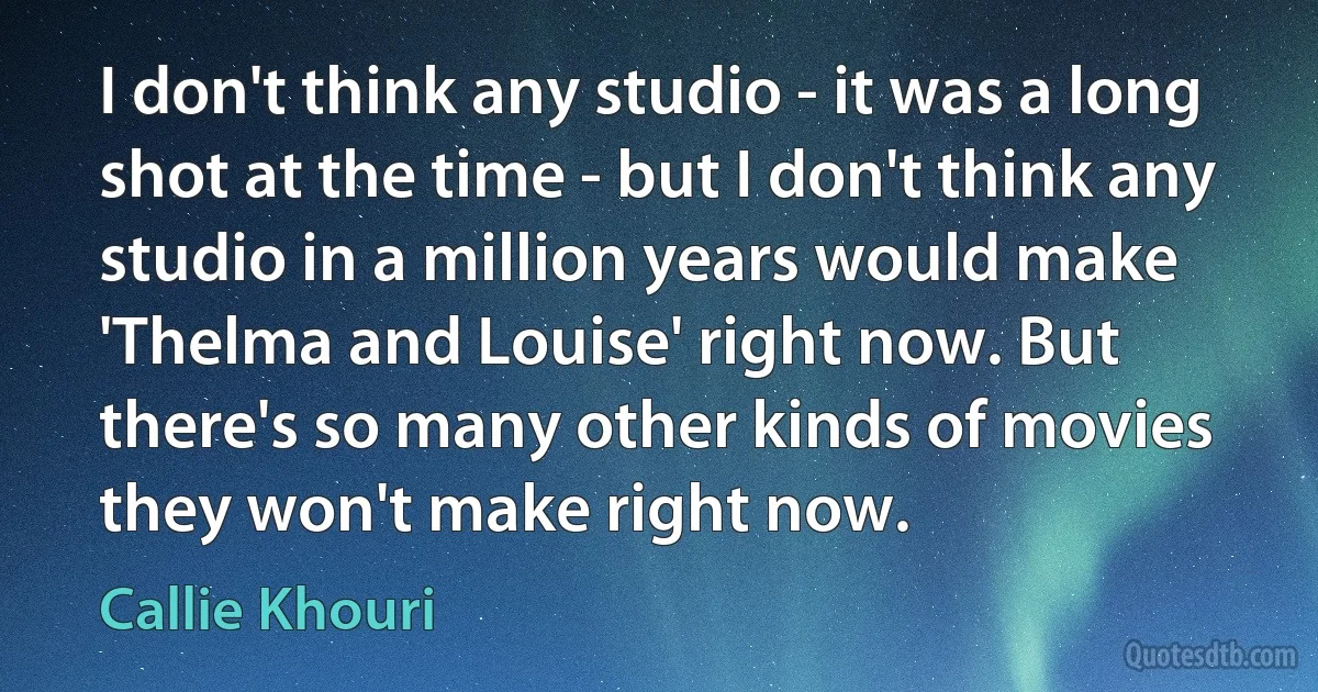 I don't think any studio - it was a long shot at the time - but I don't think any studio in a million years would make 'Thelma and Louise' right now. But there's so many other kinds of movies they won't make right now. (Callie Khouri)