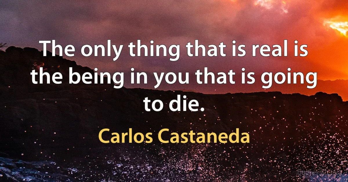 The only thing that is real is the being in you that is going to die. (Carlos Castaneda)