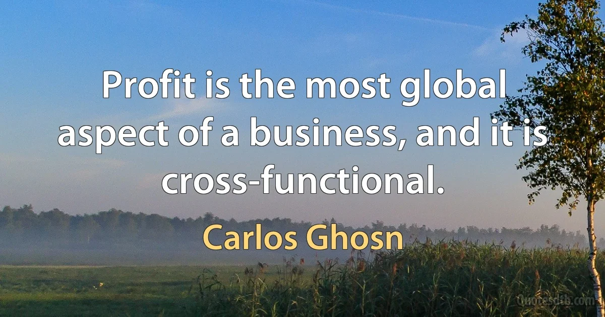 Profit is the most global aspect of a business, and it is cross-functional. (Carlos Ghosn)