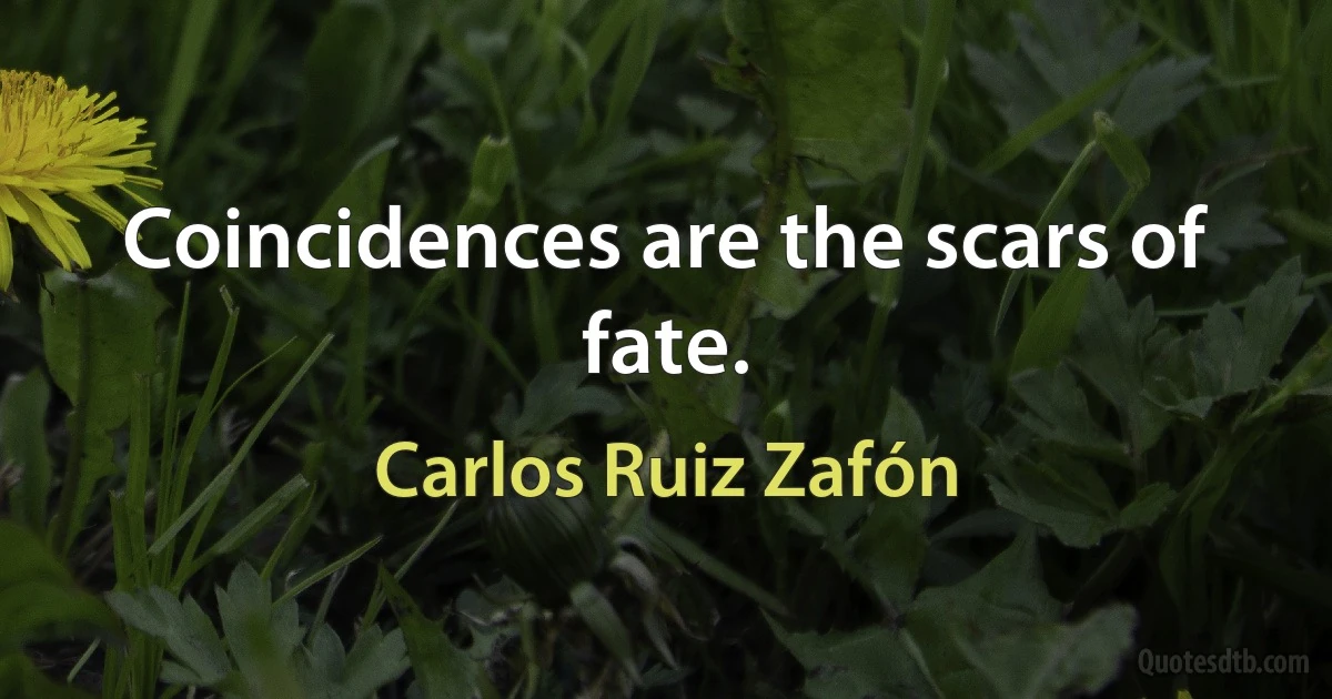 Coincidences are the scars of fate. (Carlos Ruiz Zafón)