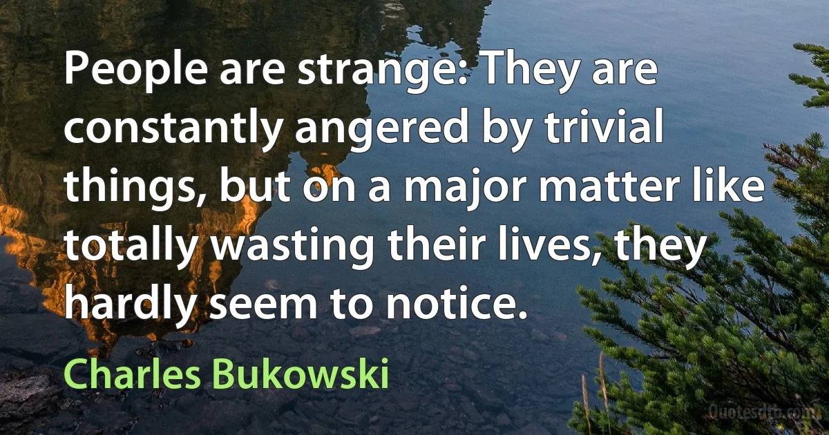 People are strange: They are constantly angered by trivial things, but on a major matter like totally wasting their lives, they hardly seem to notice. (Charles Bukowski)