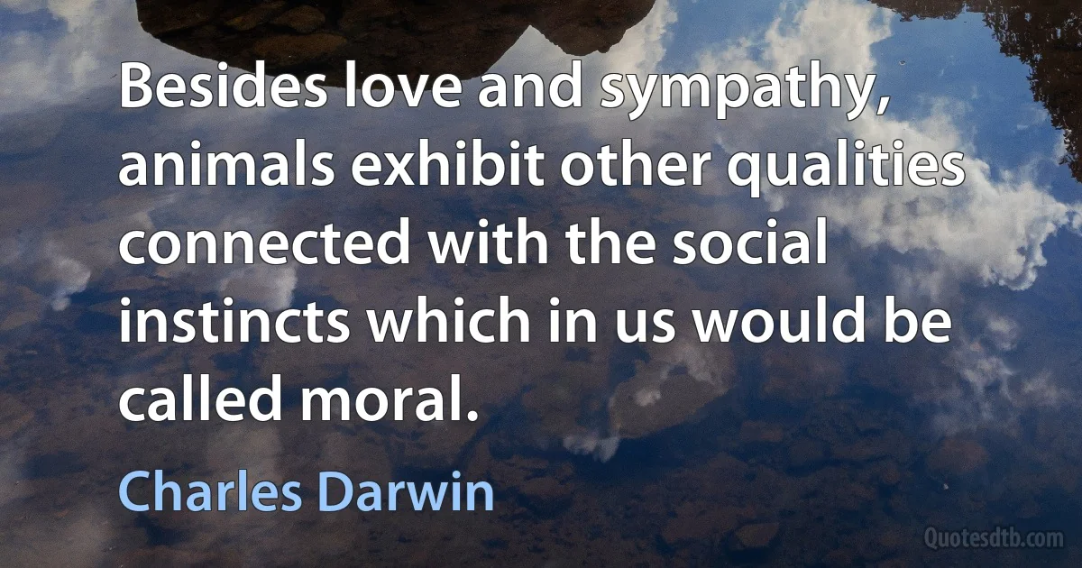 Besides love and sympathy, animals exhibit other qualities connected with the social instincts which in us would be called moral. (Charles Darwin)