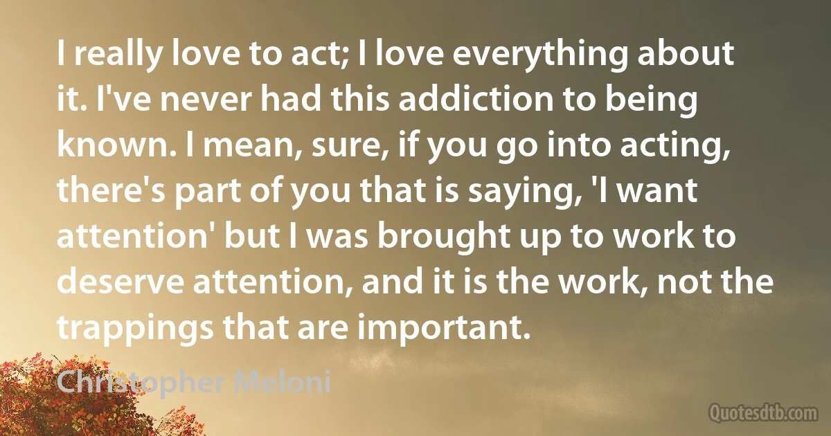 I really love to act; I love everything about it. I've never had this addiction to being known. I mean, sure, if you go into acting, there's part of you that is saying, 'I want attention' but I was brought up to work to deserve attention, and it is the work, not the trappings that are important. (Christopher Meloni)