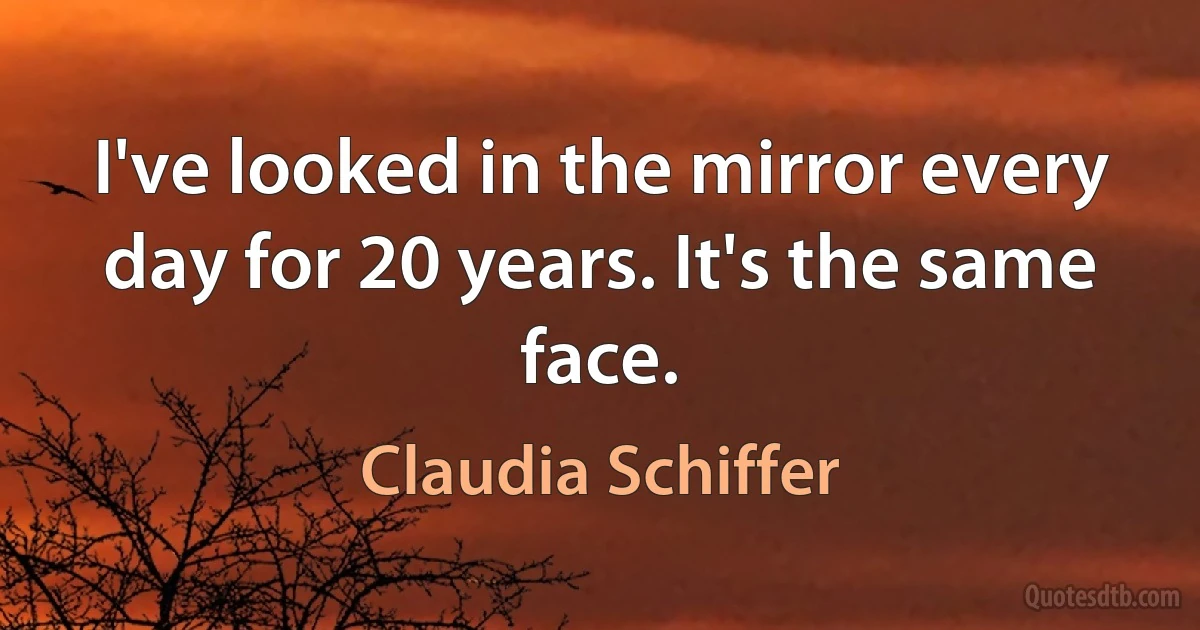 I've looked in the mirror every day for 20 years. It's the same face. (Claudia Schiffer)