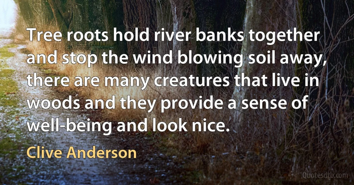 Tree roots hold river banks together and stop the wind blowing soil away, there are many creatures that live in woods and they provide a sense of well-being and look nice. (Clive Anderson)