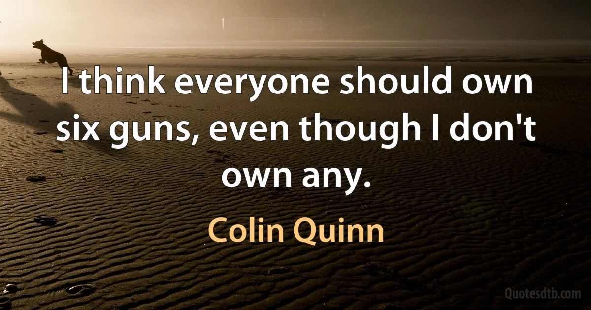 I think everyone should own six guns, even though I don't own any. (Colin Quinn)