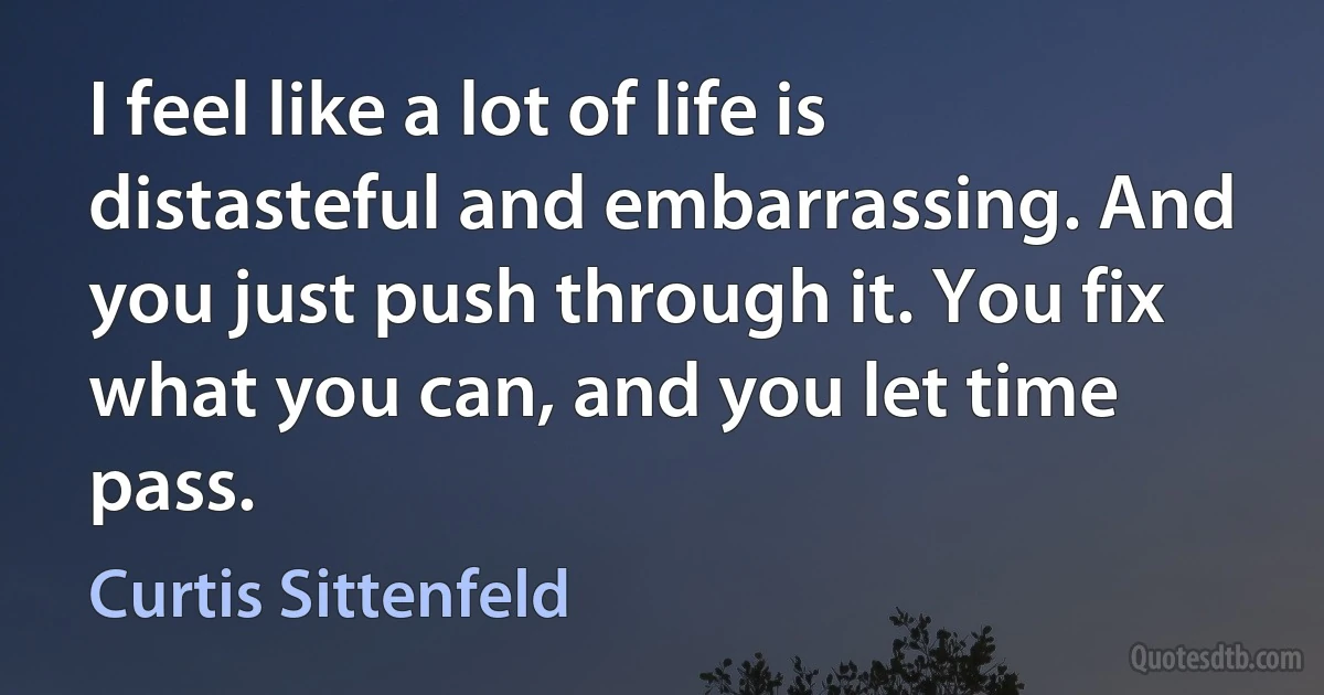 I feel like a lot of life is distasteful and embarrassing. And you just push through it. You fix what you can, and you let time pass. (Curtis Sittenfeld)