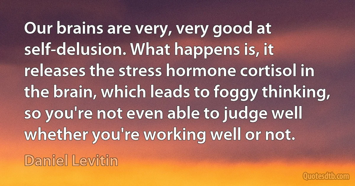 Our brains are very, very good at self-delusion. What happens is, it releases the stress hormone cortisol in the brain, which leads to foggy thinking, so you're not even able to judge well whether you're working well or not. (Daniel Levitin)