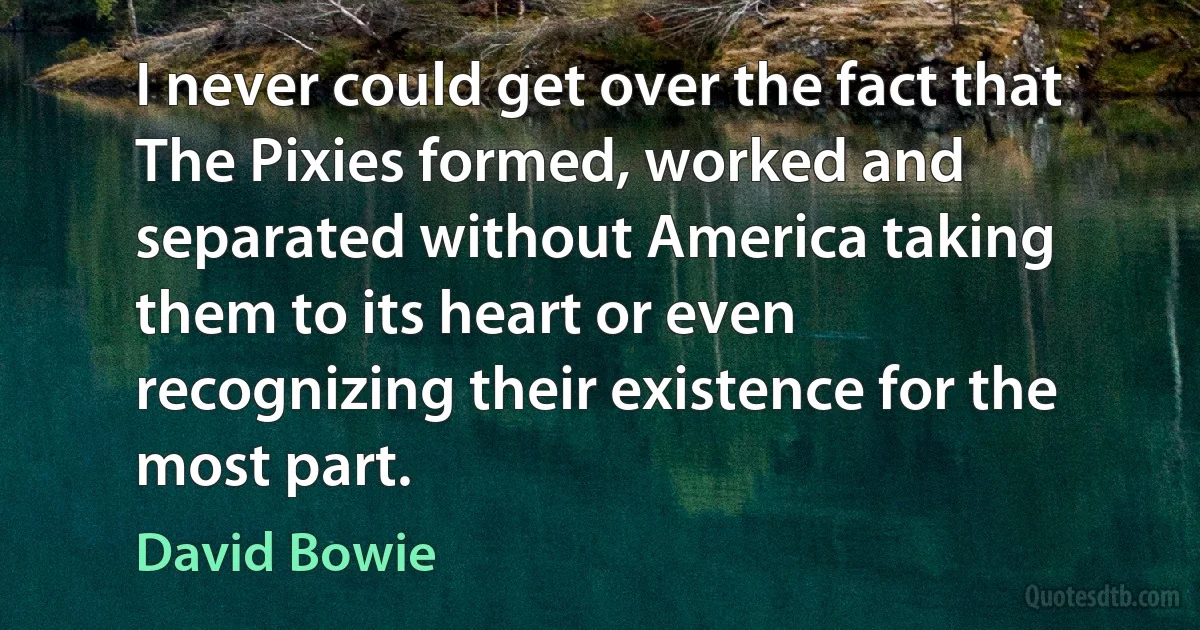 I never could get over the fact that The Pixies formed, worked and separated without America taking them to its heart or even recognizing their existence for the most part. (David Bowie)