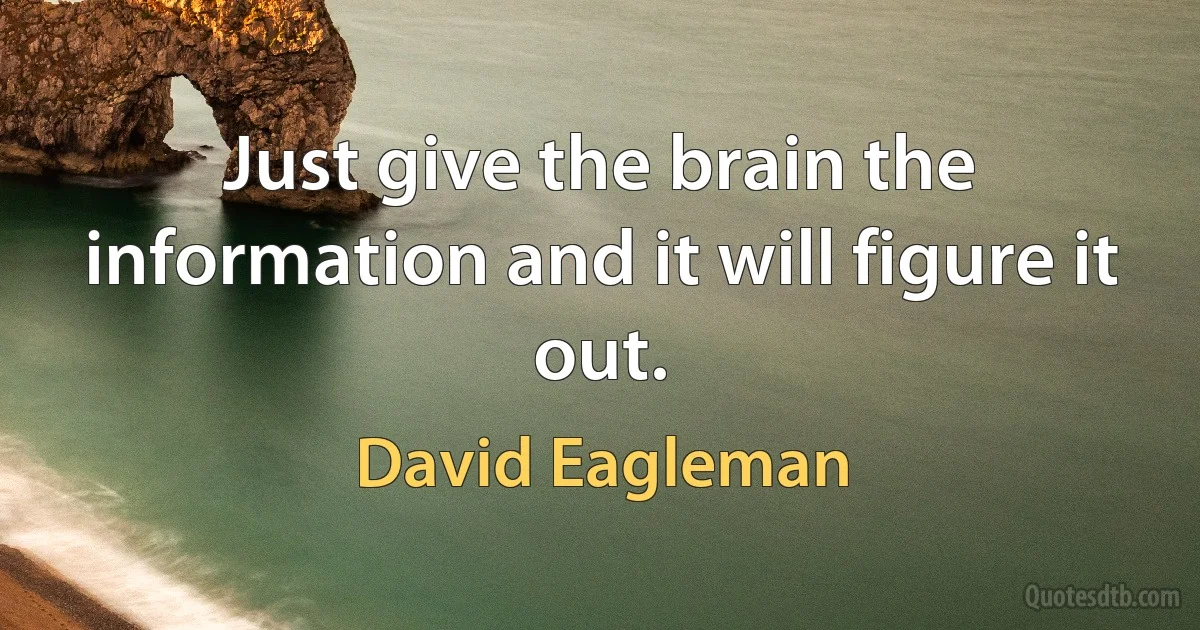 Just give the brain the information and it will figure it out. (David Eagleman)