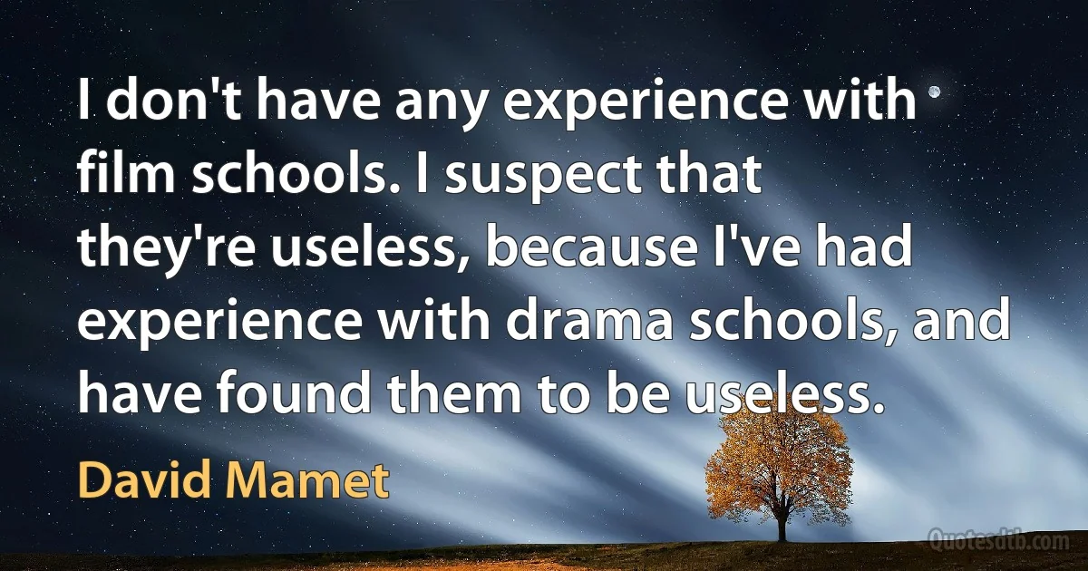 I don't have any experience with film schools. I suspect that they're useless, because I've had experience with drama schools, and have found them to be useless. (David Mamet)