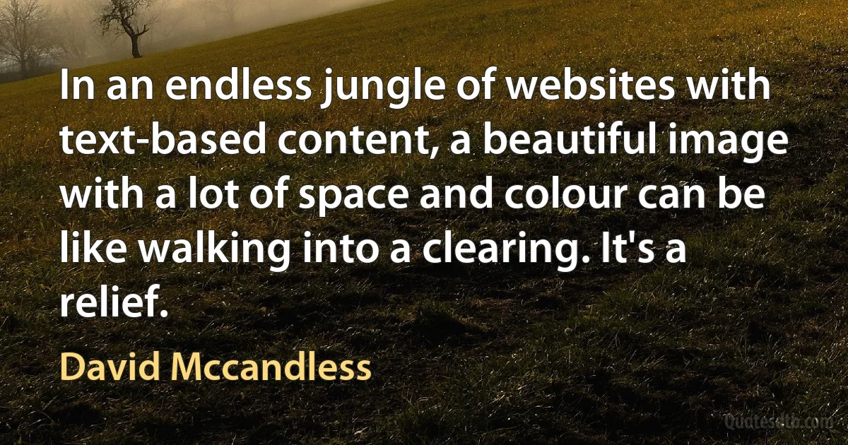 In an endless jungle of websites with text-based content, a beautiful image with a lot of space and colour can be like walking into a clearing. It's a relief. (David Mccandless)