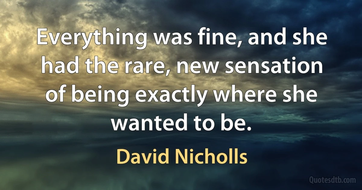 Everything was fine, and she had the rare, new sensation of being exactly where she wanted to be. (David Nicholls)