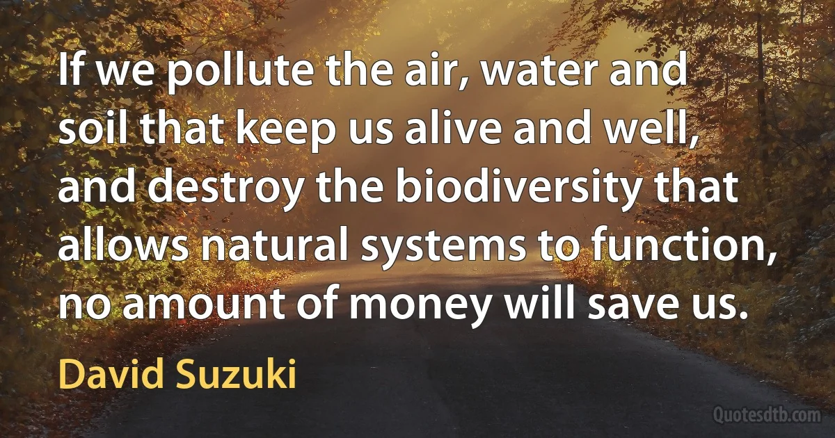 If we pollute the air, water and soil that keep us alive and well, and destroy the biodiversity that allows natural systems to function, no amount of money will save us. (David Suzuki)