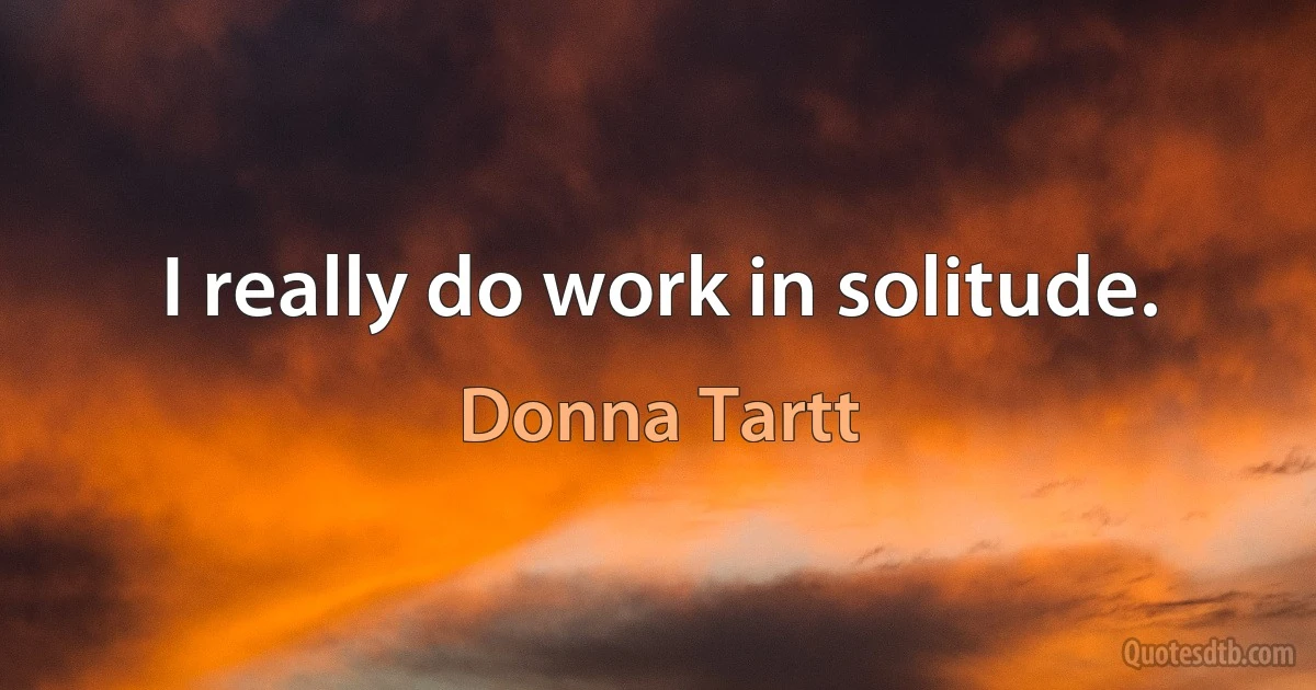 I really do work in solitude. (Donna Tartt)