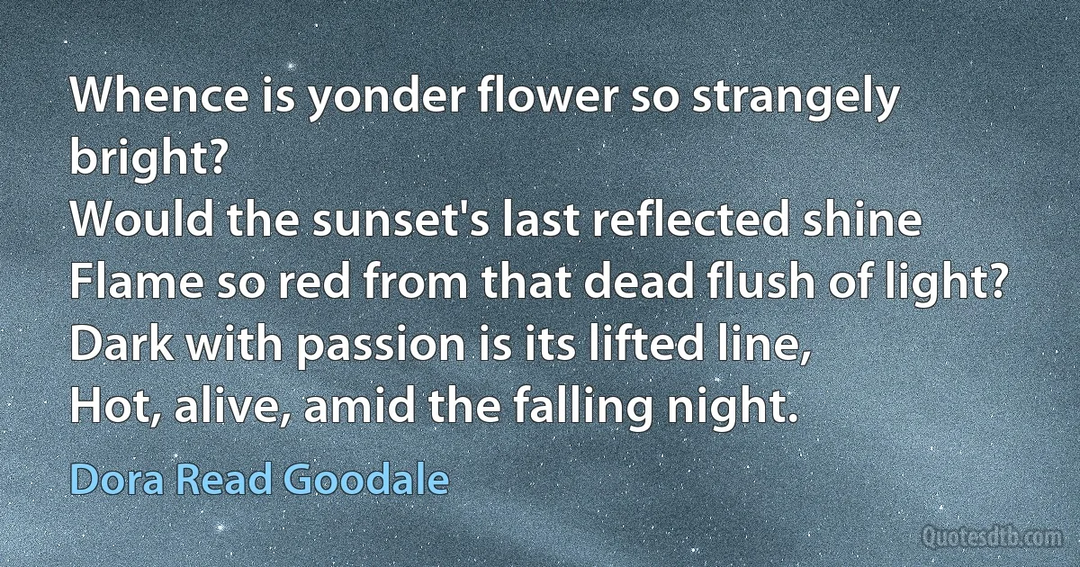 Whence is yonder flower so strangely bright?
Would the sunset's last reflected shine
Flame so red from that dead flush of light?
Dark with passion is its lifted line,
Hot, alive, amid the falling night. (Dora Read Goodale)