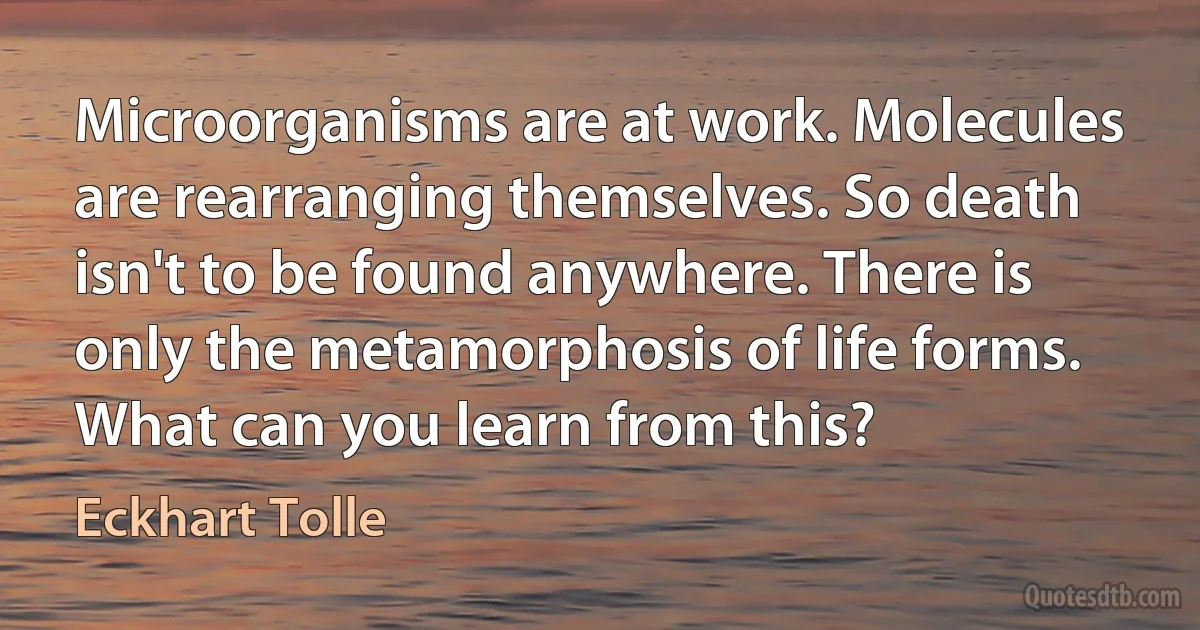 Microorganisms are at work. Molecules are rearranging themselves. So death isn't to be found anywhere. There is only the metamorphosis of life forms. What can you learn from this? (Eckhart Tolle)