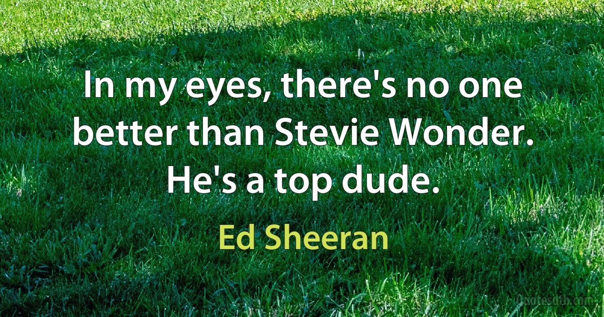 In my eyes, there's no one better than Stevie Wonder. He's a top dude. (Ed Sheeran)