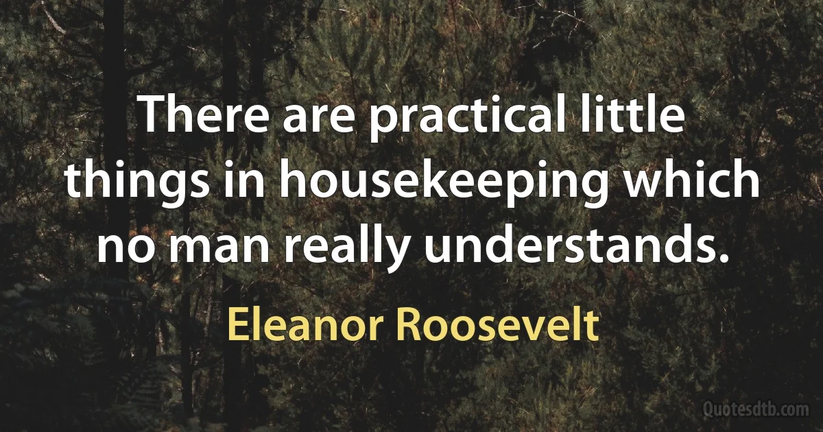 There are practical little things in housekeeping which no man really understands. (Eleanor Roosevelt)