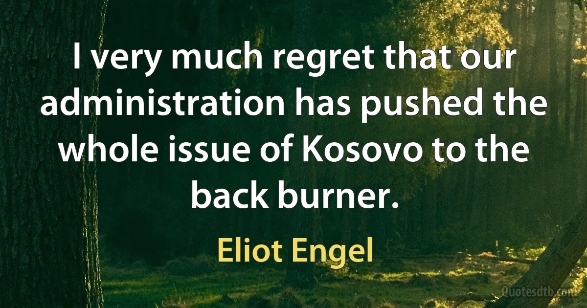 I very much regret that our administration has pushed the whole issue of Kosovo to the back burner. (Eliot Engel)