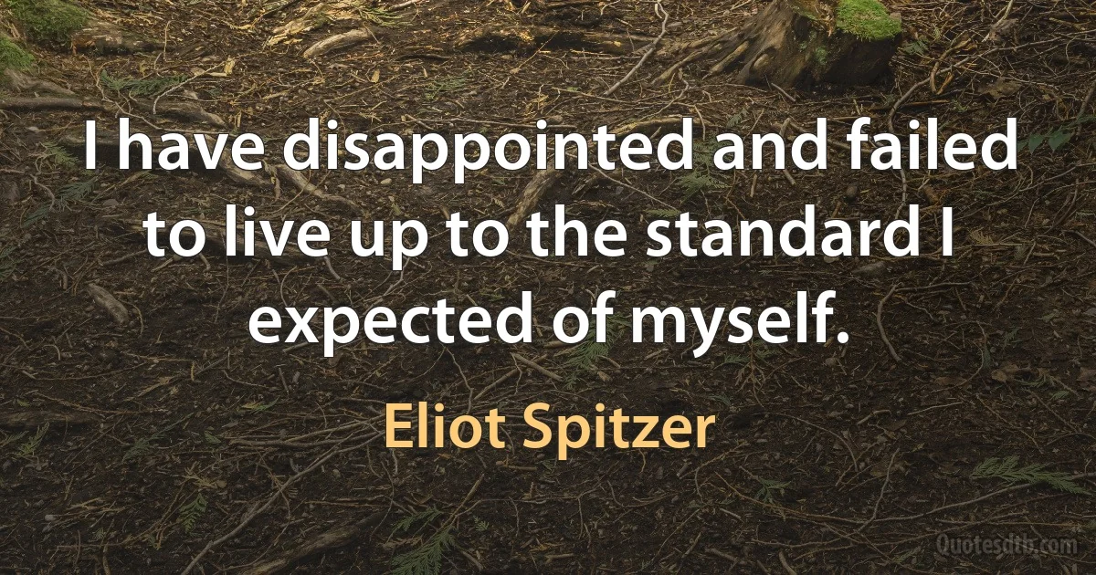 I have disappointed and failed to live up to the standard I expected of myself. (Eliot Spitzer)