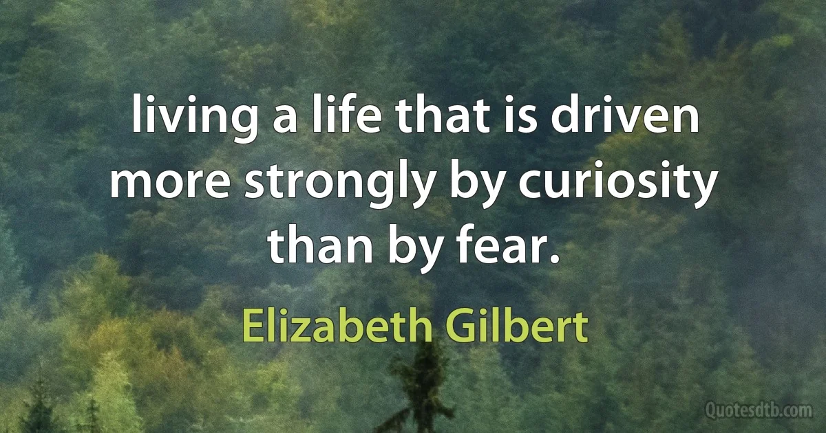 living a life that is driven more strongly by curiosity than by fear. (Elizabeth Gilbert)