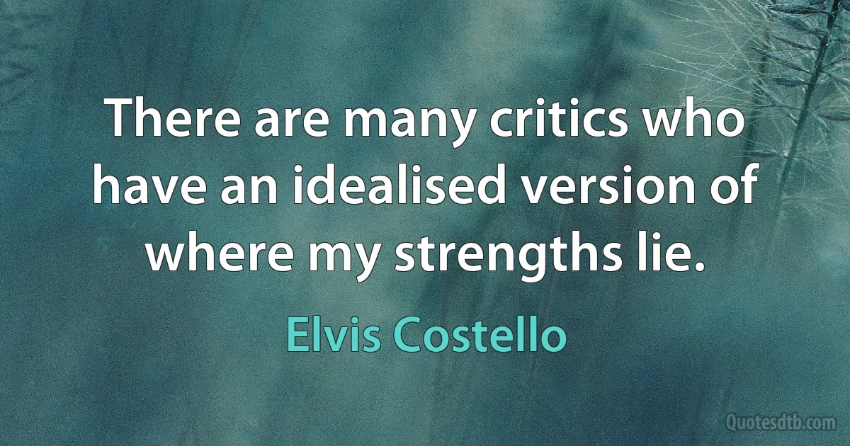 There are many critics who have an idealised version of where my strengths lie. (Elvis Costello)