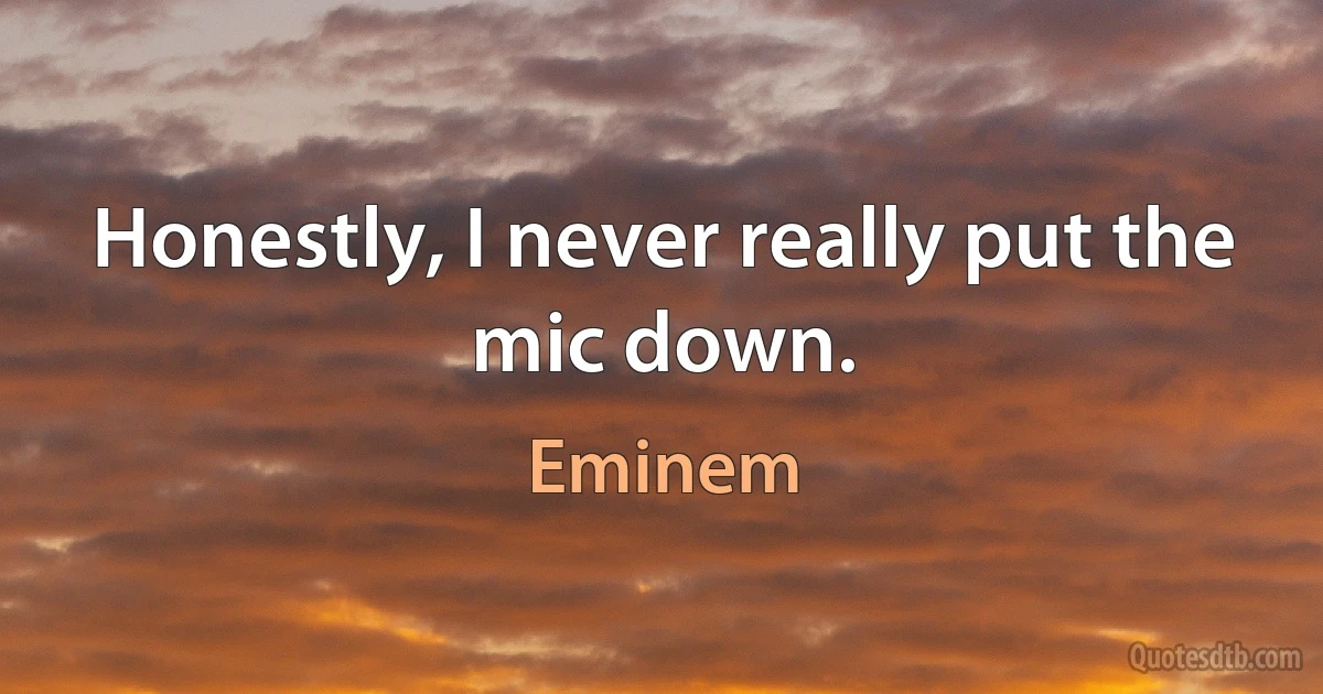 Honestly, I never really put the mic down. (Eminem)