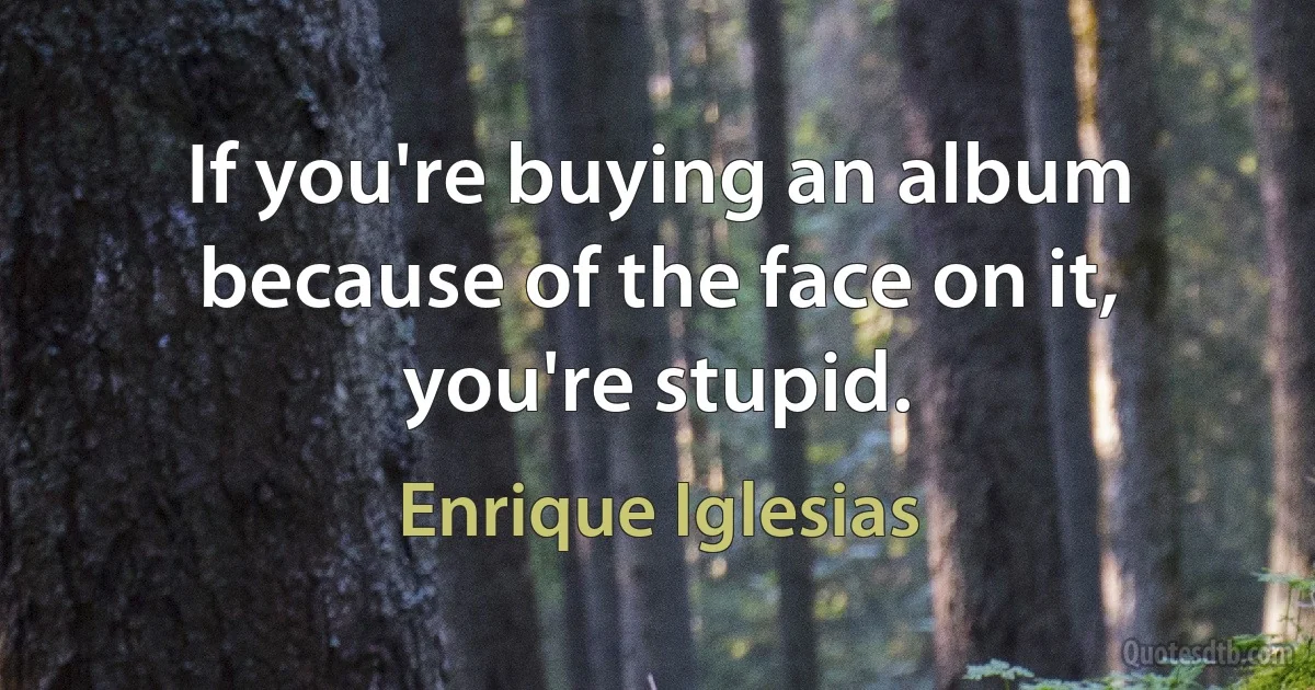 If you're buying an album because of the face on it, you're stupid. (Enrique Iglesias)