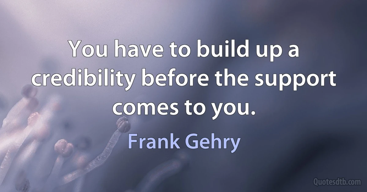 You have to build up a credibility before the support comes to you. (Frank Gehry)