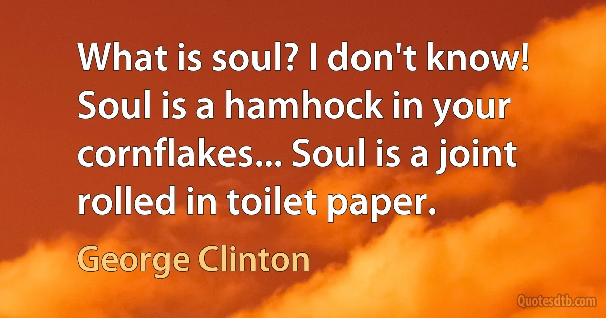 What is soul? I don't know! Soul is a hamhock in your cornflakes... Soul is a joint rolled in toilet paper. (George Clinton)