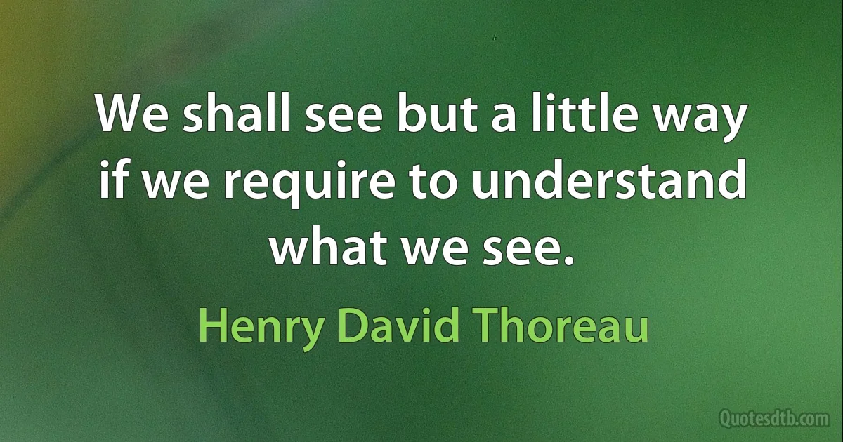 We shall see but a little way if we require to understand what we see. (Henry David Thoreau)