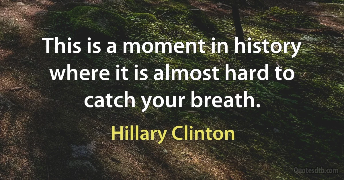 This is a moment in history where it is almost hard to catch your breath. (Hillary Clinton)