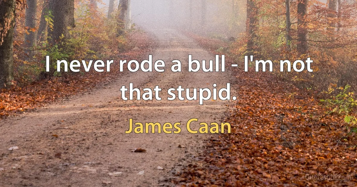 I never rode a bull - I'm not that stupid. (James Caan)