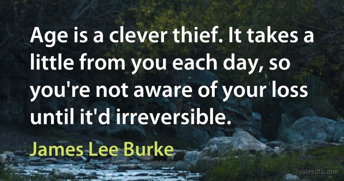 Age is a clever thief. It takes a little from you each day, so you're not aware of your loss until it'd irreversible. (James Lee Burke)