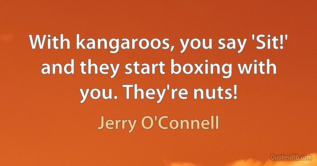 With kangaroos, you say 'Sit!' and they start boxing with you. They're nuts! (Jerry O'Connell)