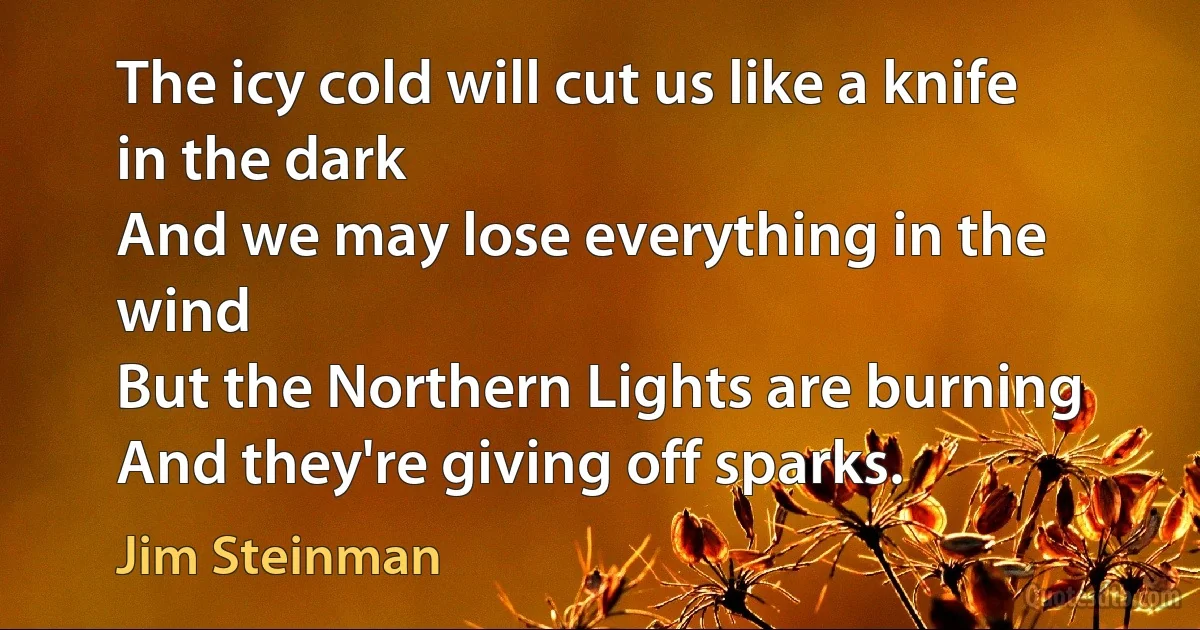 The icy cold will cut us like a knife in the dark
And we may lose everything in the wind
But the Northern Lights are burning
And they're giving off sparks. (Jim Steinman)