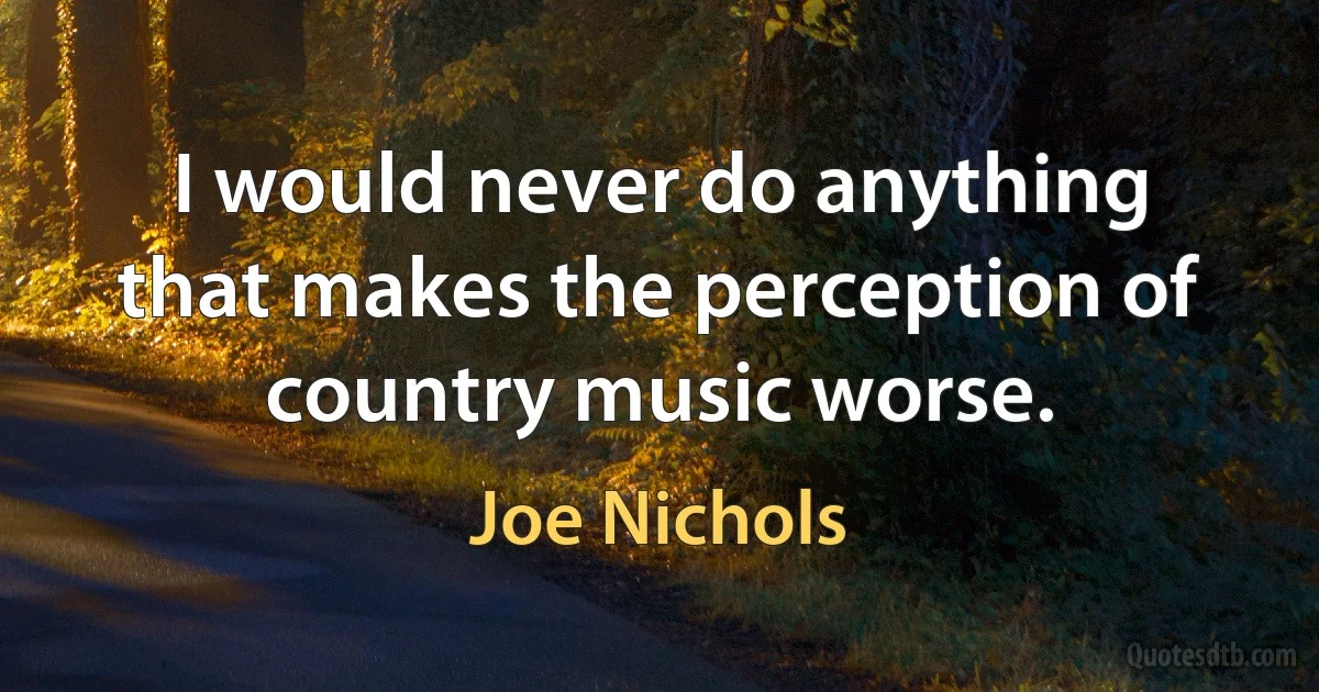 I would never do anything that makes the perception of country music worse. (Joe Nichols)