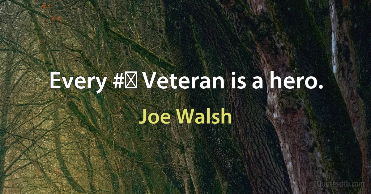 Every #‎ Veteran is a hero. (Joe Walsh)