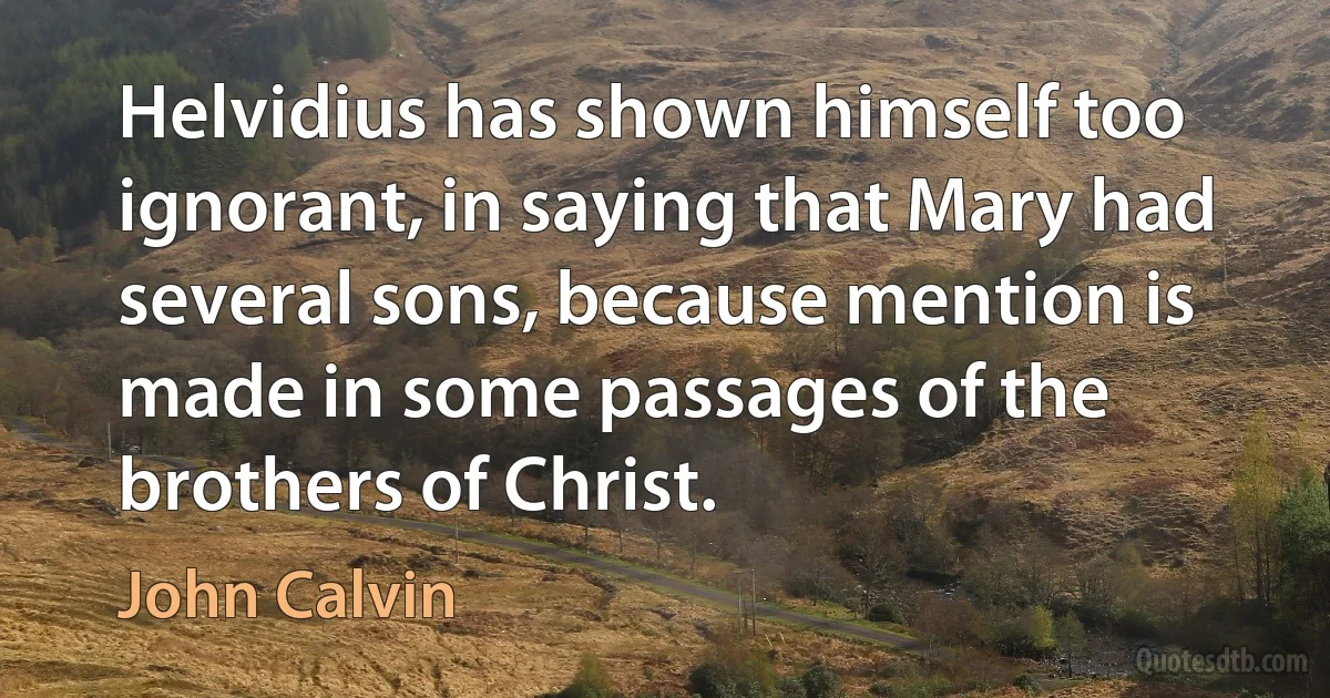 Helvidius has shown himself too ignorant, in saying that Mary had several sons, because mention is made in some passages of the brothers of Christ. (John Calvin)