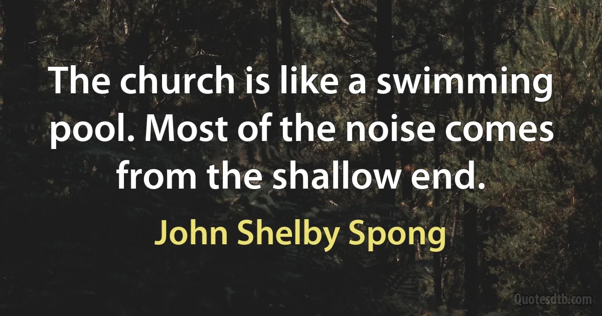 The church is like a swimming pool. Most of the noise comes from the shallow end. (John Shelby Spong)