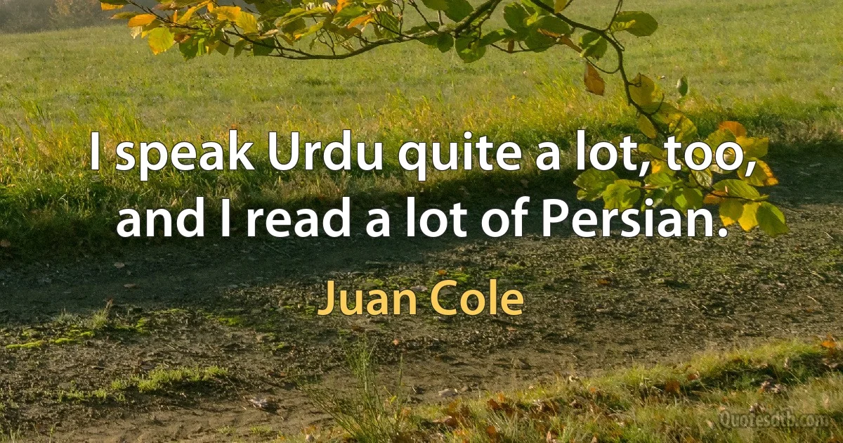 I speak Urdu quite a lot, too, and I read a lot of Persian. (Juan Cole)